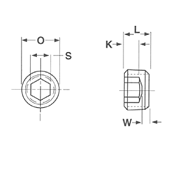 Socket Pipe Plug 3/4 Taper by Delta Fastener