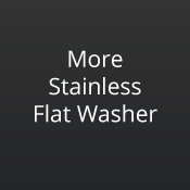 Stainless Flat Washer by Delta Fastener